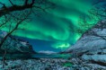 /album/galleria-fotografica/aurora-dalla-norvegia-jpg1/
